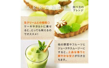 熊本県産 シャインマスカット 約4kg 『 かめまる食堂 』 種無し ぶどう