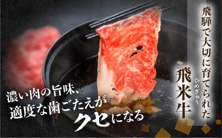 飛米牛 ロース 牛しゃぶ 300g [EN032] 飛騨岐阜人 シャブシャブ