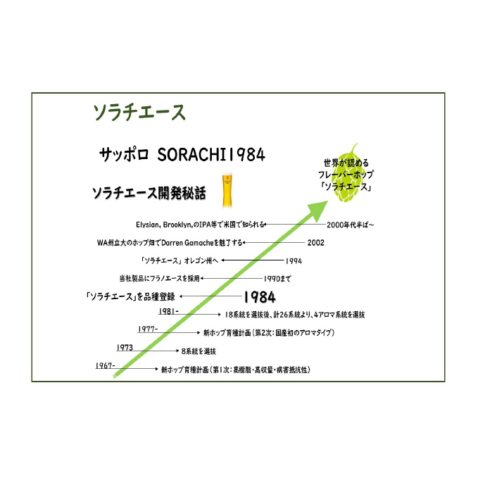 SORACHI 1984 ≪ソラチ1984≫1箱（350ml×12缶） 吉澤商店 北海道 上富良野町 ソラチ1984 お酒 酒 飲み物 ビール 地ビール サッポロビール サッポロ ギフト_イメージ4