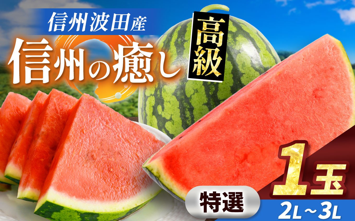 
            【先行予約】信州波田産 贈答用 高級スイカ！ 信州の癒し 【特選】 2L～3Lサイズ 1玉｜ふるさと納税 長野県 信州 松本 果物 フルーツ すいか スイカ 西瓜 新鮮 大きい 特別 贈答 季節限定 甘い くだもの ふるーつ
          