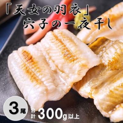 ふるさと納税 大田市 「天女の羽衣」穴子 一夜干し 3尾　300g以上　(A188)