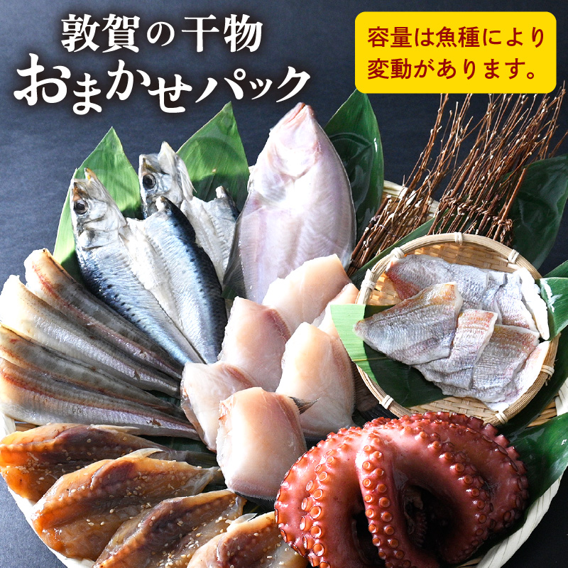 干物 敦賀の「干物詰め合わせセット」【海鮮 おかず おまかせ 保存料不使用】[051-a011]  【敦賀市ふるさと納税】