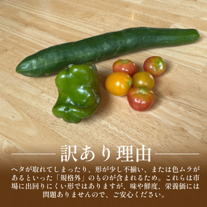 訳あり 野菜 夏野菜 セット 6～8品目 1人～2人用 詰め合わせ 野菜 夏野菜