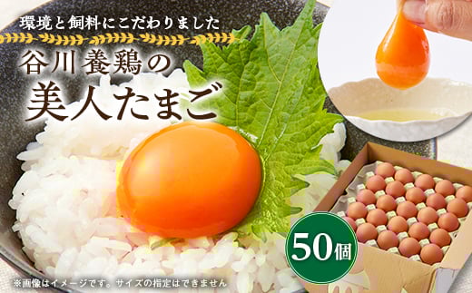 
                  ＜生みたて濃厚＞谷川養鶏の美人たまご　50ヶ入り(※サイズ指定できません)【1390274】
                