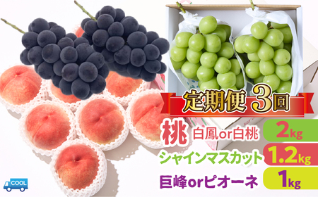 【2026年発送★先行予約】【年3回定期便】桃・シャインマスカット・巨峰orピオーネ 106-023-26y