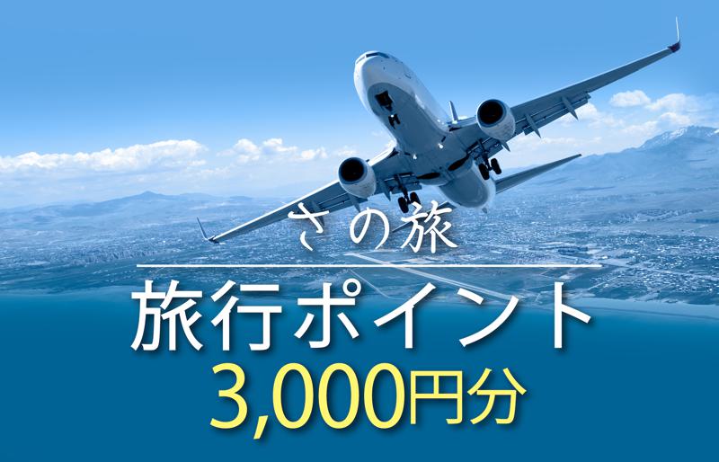 さの旅 旅行ポイント 3,000円分【宿泊 旅行 ホテル トラベル】