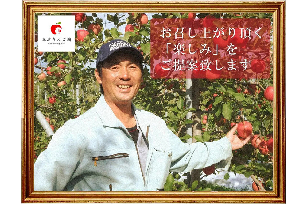 【26年11月下旬〜発送】りんご サンふじ【訳あり】約5kg 糖度13度以上（糖度証明書付）【先行受付】家庭用 青森県 弘前市 果物 フルーツ 林檎 リンゴ くだもの 不揃い 規格外 [先行予約 産地