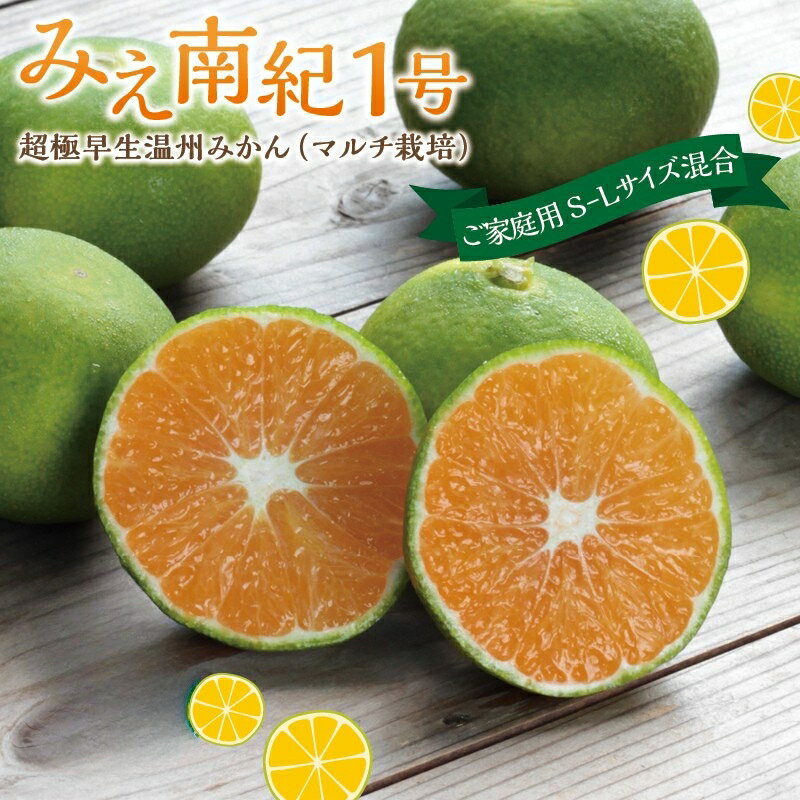 【ふるさと納税】 【先行予約】みえ南紀1号 ご家庭用 S-Lサイズ混合 たにぐち農園の超極早生温州みかん(マルチ栽培) 3kg 5kg【2025年9月下旬〜順次発送】 / ご家庭用 家庭用 不揃い フルーツ 極早生 早生 温州 みかん 蜜柑 三重県 新品種 高品質 みえ
