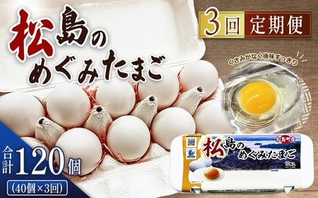 松島のめぐみたまご　40個入り　3ヵ月定期便 No.163