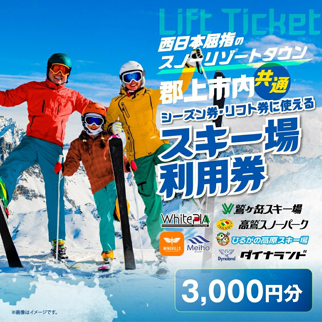 【ふるさと納税】＼2026-2027シーズン受付開始！／岐阜県郡上市 市内スキー場利用券 3000円分 2026-2027 高鷲・白鳥・明宝エリア利用可 ダイナランド 高鷲 鷲ヶ岳 白鳥 ひるがの ホワイトピア めいほう 対応 チケット リフト券 シーズン券 購入に使用可能！ あとから選べる