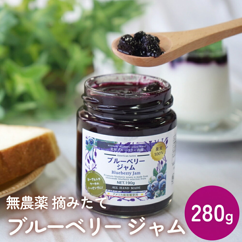 【ふるさと納税】＜先行予約＞ブルーベリージャム 280g 無添加 摘みたて 手作り 果実 100% アントシアニントッピング 冷蔵 宮城県 宮城 石巻市 石巻