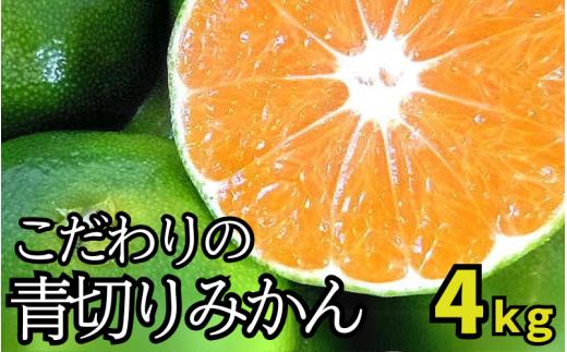 【2026年秋頃発送予約分】＼光センサー選別／ 【農家直送】こだわりの青切りみかん 約4kg  有機質肥料100%　 サイズ混合　※2026年9月～10月に順次発送予定（お届け日指定不可【nuk142C】
