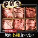 【ふるさと納税】《簡易包装・贈答箱 選べる》飛騨牛 焼肉 6種食べ比べ 希少部位 各100g 計600g 焼き肉 牛肉 肉 部位おまかせ 赤身 霜降り和牛 ギフト 贈り物 イチボ トモサンカク ミスジ ランプ ザブトン お楽しみ［Q1034］45000円