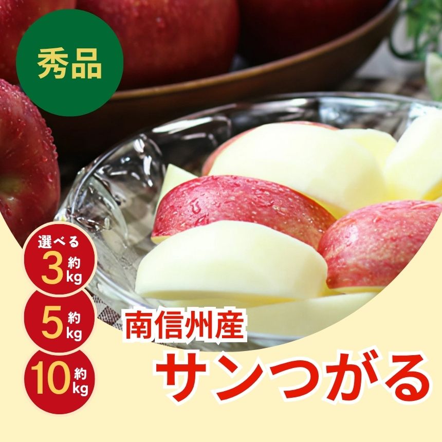 【ふるさと納税】りんご の 一番手! 長野県産 りんご サンつがる 選べる容量〈2026年9月上旬〜9月中旬発送〉| 果物 くだもの フルーツ りんご 林檎 リンゴ 長野県 信州 南信州 飯田市 B14 B19 B33