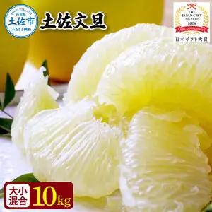 【先行予約】園主こだわりの土佐文旦 約10kg 大小混合（4L?Mサイズ） 高知県土佐市 【やの一果彩】 [BQAC015]