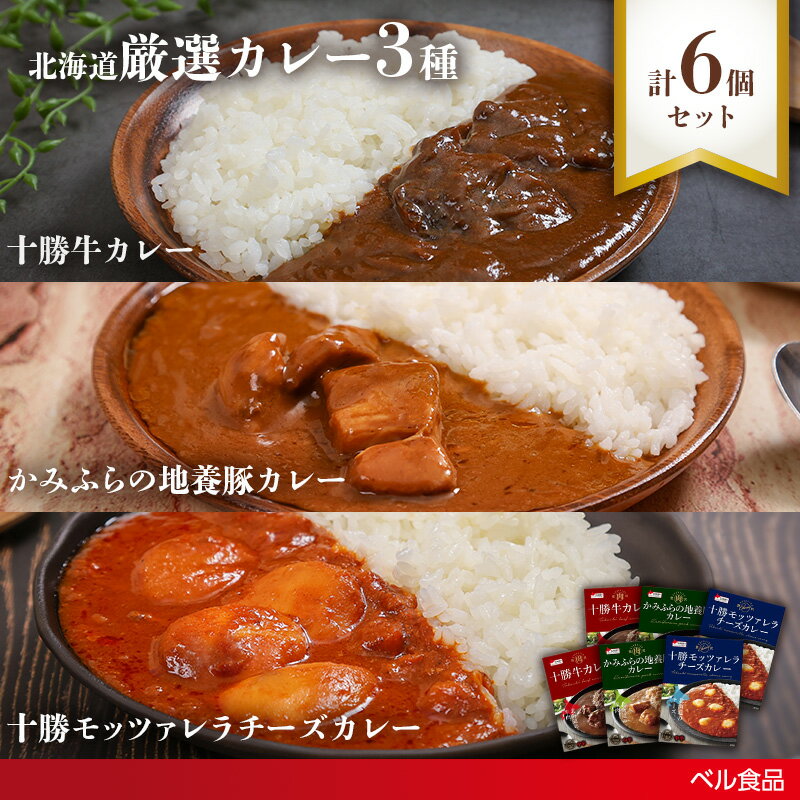 【ふるさと納税】北海道厳選カレー3種6個セット( ふるさと納税 レトルト カレー ベル食品 北海道 遠軽町 ) en01-00251