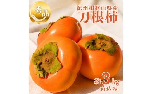
                  刀根柿 約 3kg※箱込み 秀品 / カキ  甘い 種なし 美味しい 秋の味覚 和歌山県 紀美野町 ※2026年9月下旬～10月上旬に順次発送【frt504-r-tone-3】
                