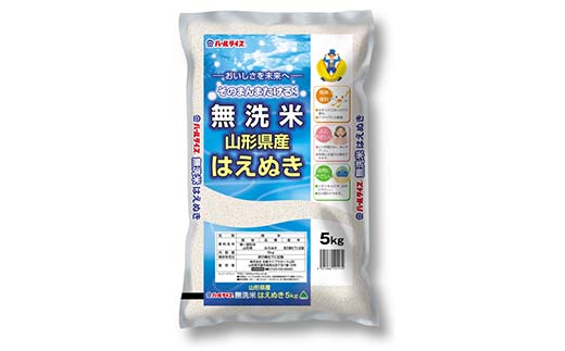 【令和7年産】 JA 無洗米 はえぬき 10kg (5kg×2袋) 『JA山形おきたま』 山形県産 米 精米 山形県 南陽市 [2597]