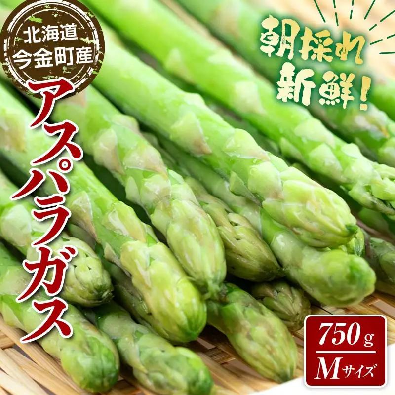 【先行予約】朝採れ新鮮アスパラ 750g （Mサイズ） (2027年3月下旬~6月中旬または2027年7月上旬~9月上旬発送) 野菜 秀品 北海道産 バーベキュー BBQ キャンプ 旬野菜 アスパラガス 栄養満点 冷蔵発送 F21X-457