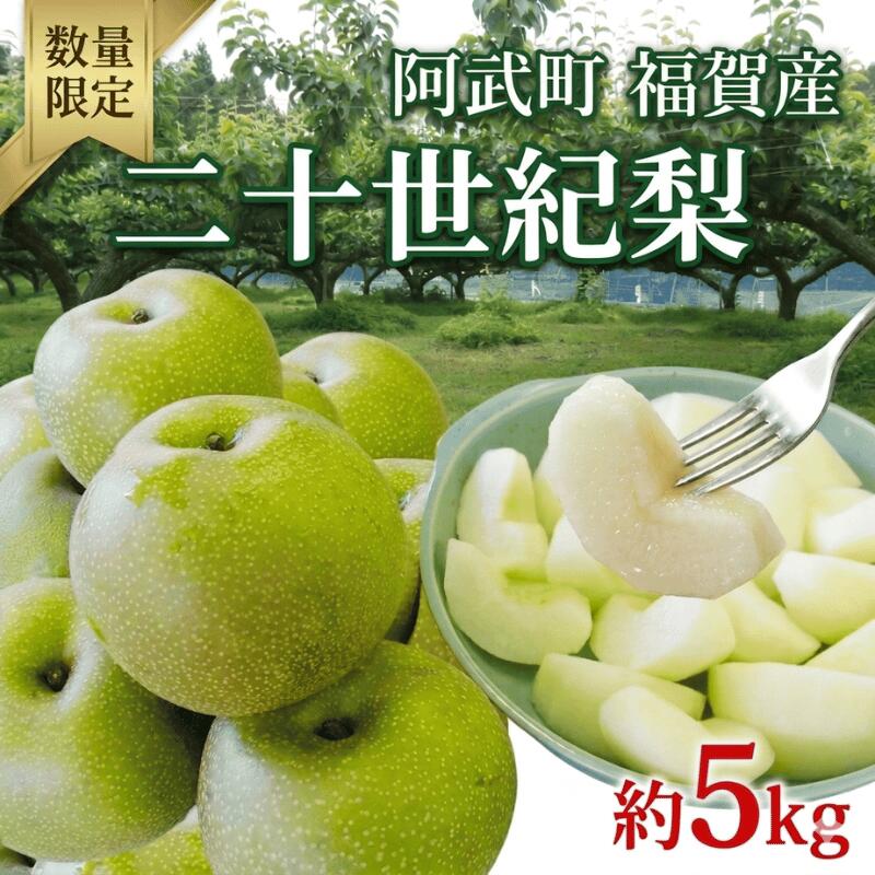 【ふるさと納税】【先行予約】二十世紀梨 梨 なし 5kg（12～18玉） 山口県阿武町産 高糖度・シャキシャキ食感 フルーツ 2026年8月下旬～9月中旬発送 数量限定
