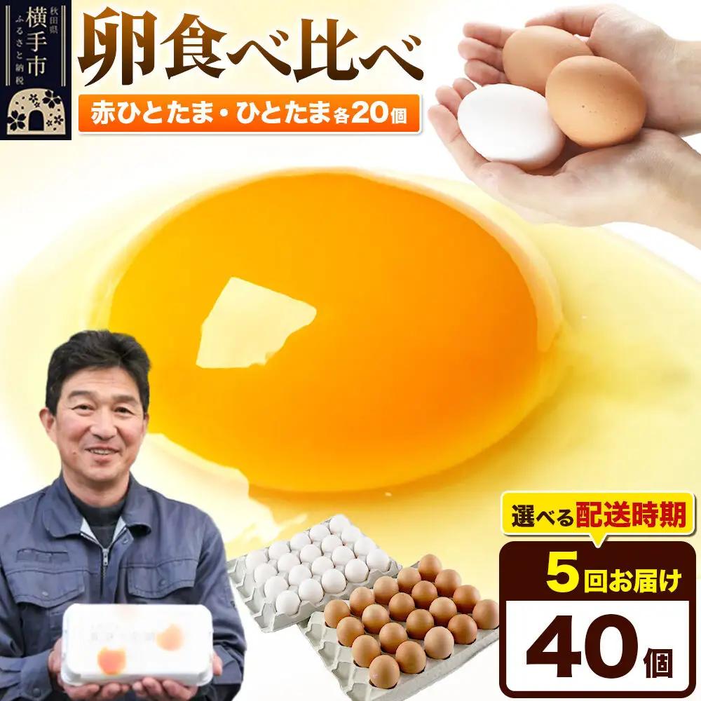 《定期便5ヶ月》赤ひとたま 20個・ひとたま 20個 計40個（業務用）