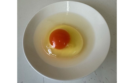 No.426 彩美卵　翡翠20個