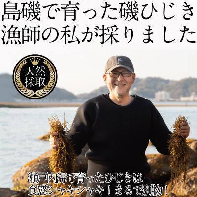 ふるさと納税 瀬戸内市 生炊きだからおいしい 瀬戸内 ひじき 28g×9袋 エビス水産[No.5735-1274] |  | 02