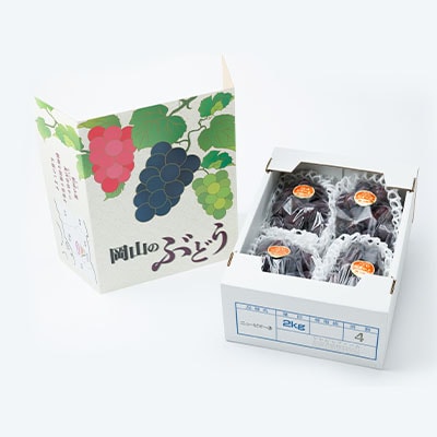 【2026年先行受付】果汁たっぷり朝採りピオーネ2kg【配送不可地域：離島・北海道・沖縄県】