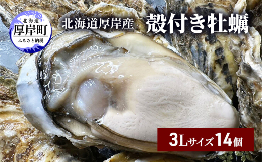
北海道 厚岸産 殻付き 牡蠣 3Lサイズ 14個 [№5863-1019]
