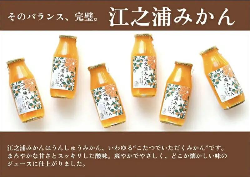 【定期便 （2カ月ごと全3回）】小田原産江之浦みかん１００％ストレートジュース５００ml６本【みかんジュース みかんジュース 神奈川県 小田原市 】