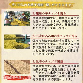 B5-002 全芋焼酎「蘭」長期古酒2本セット(各720ml)【アットスター】