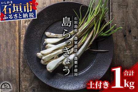 【先行受付】島らっきょう 生 土付き １kg《2026年2月～3月発送予定》沖縄 石垣島 農家直送【野菜 らっきょう 島らっきょう おつまみ 採れたて 漬物 天ぷら】TK-7