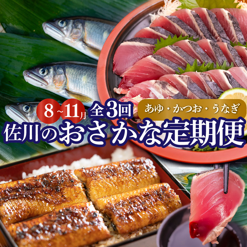 ＜年3回【さかわのお魚定期便（配送月：8月～11月）】うなぎ　かつおのタタキ　鮎＞鰹のタタキ 高知県 大正軒 鮎屋仁淀川 西村商店 かつおのたたき 鰻蒲焼き あゆ  ※※配送できない地域があります※※