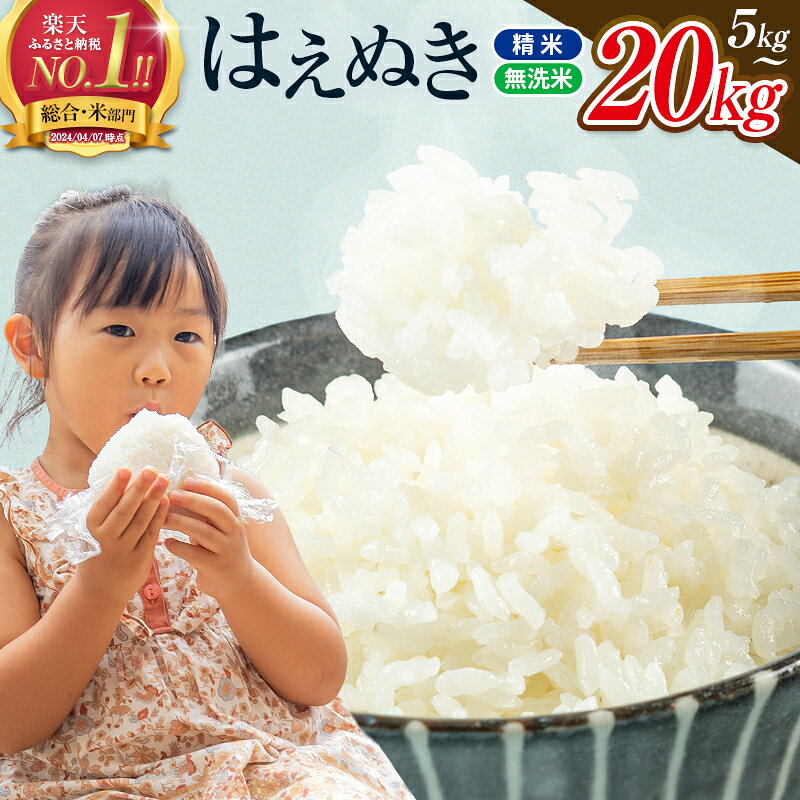 【ふるさと納税】 総合1位 無洗米 はえぬき 5kg 10kg 20kg 定期便も選べる レビュー高評価 山形県産 令和7年産 選べる内容量 発送時期 定期便 3ヶ月 6ヶ月 3回 6回 3か月 6か月 ランキング1位 精米 お米 米 おこめ ごはん ご飯 ライス 白米 国産 ブランド米 弁当 FYN1-131var