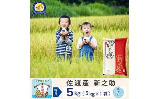 
            【新米予約 9か月定期便】佐渡島産 新之助 無洗米5Kg 令和7年
          
