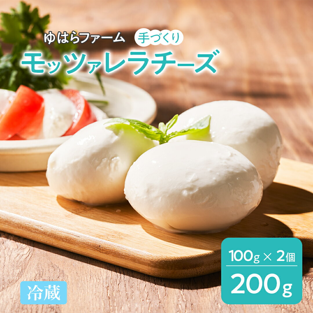 【ふるさと納税】手作りモッツァレラチーズ　福島　南相馬市産【6100101】