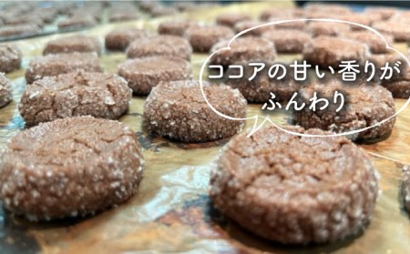 青いクマのサブレ缶 パーティーサイズ ココア【Sweets＆Deco 青いクマ】  [MCL006]