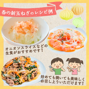 〈先行受付〉牟田農園の春の新玉ねぎ 【訳あり不揃い】１０㎏ たまねぎ タマネギ 野菜 新玉ねぎ 玉ねぎ 10kg 玉ねぎ 佐賀県 太良町 L151