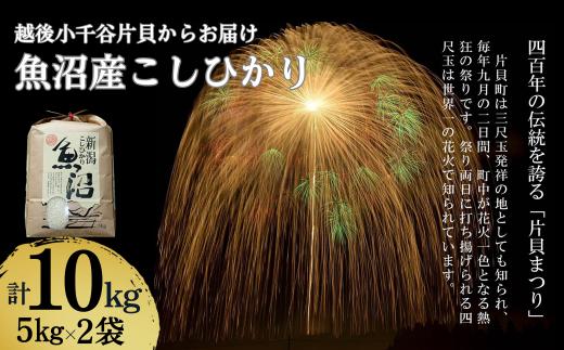 【令和7年産 新米予約】魚沼産コシヒカリ 10kg(5kg×2袋) 世界一の四尺玉の町 片貝町からお届け 精米 白米 新潟県産 米萬| 新潟県産 コシヒカリ お米 米 おこめ こめ こしひかり 魚沼産 ブランド米【0002-KM02-02】
