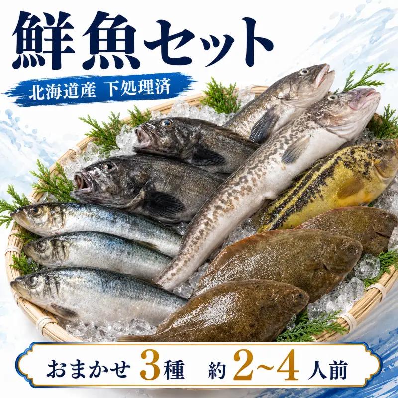 鮮魚 おまかせ3種 詰め合わせ 約2~4人前 冷凍鮮魚【AO】