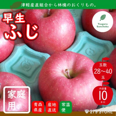 10月初旬頃発送 早生ふじ 家庭用 10キロ箱 10kg 28～40玉 津軽りんご 産地直送【配送不可地域：離島】