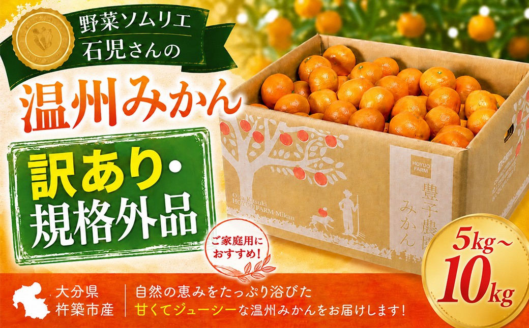 【訳あり・規格外品】野菜ソムリエ石児さんの「温州みかん 約10kg」＜05-A0082＞
