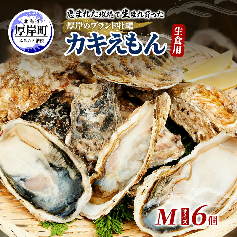 【ふるさと納税】牡蠣 厚岸のブランド牡蠣 生食用 カキえもん Mサイズ 6個 [ 魚貝類 海鮮 海のミルク 国産 生食用殻付き牡蠣 まろやか クリーミー 食べやすい品種 海の香り 牡蠣の酒蒸し 焼き牡蠣 ]　お届け：2026年11月～12月20日まで
