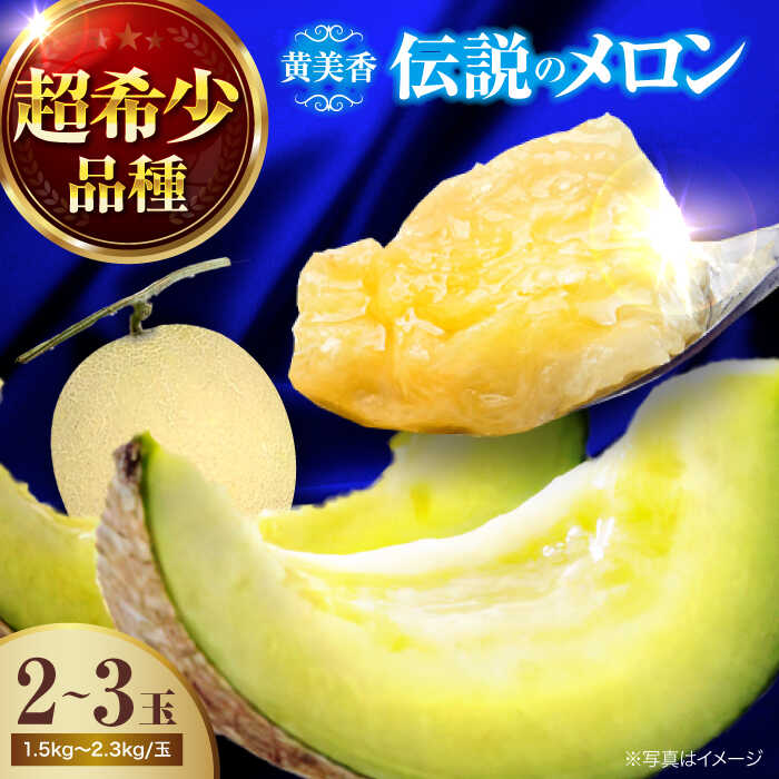 【ふるさと納税】メロン 【先行予約】【2026年6月下旬から順次発送】 黄美香 2から3玉 国産 デザート スイーツ 旬 夏ギフト お中元 大洲市/梶原農園[AGCX001] メロンめろん 果物 くだもの フルーツ 新鮮 愛媛県産 大洲市産 おすすめ 人気 お取り寄せ 送料無料