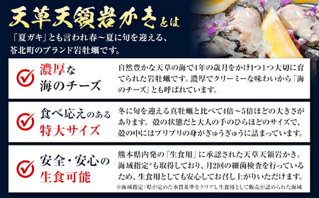 先行予約 ふるさと納税総合ランキング入賞 牡蠣 カキ 天草天領 岩かき 特大 定期便 約 5kg 2回《2026年5月から出荷》海鮮 海産物 シーフード 魚貝類 かき 岩牡蠣 夏牡蠣 生食用 熊本県 