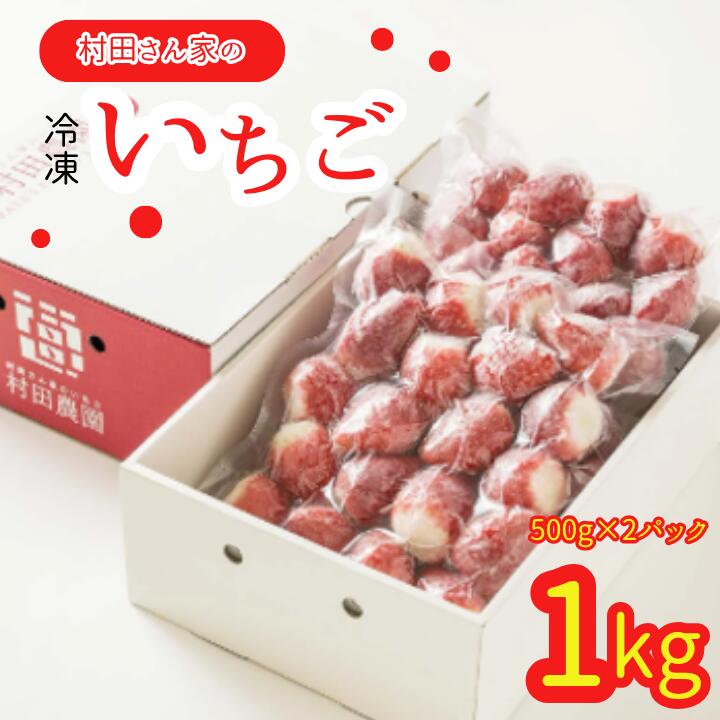 【ふるさと納税】村田さん家の冷凍いちご（1kg）　鉾田市産