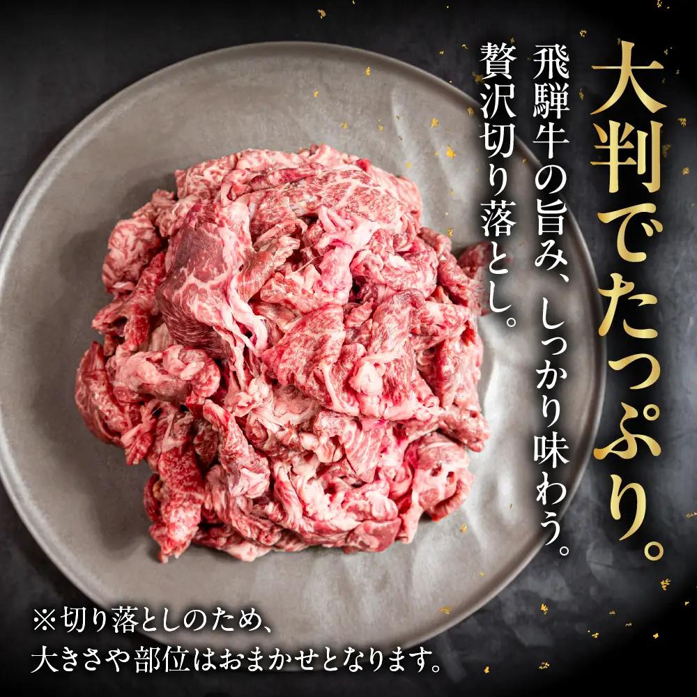 飛騨牛 切り落とし 200g×10袋  計2kg【22-48】