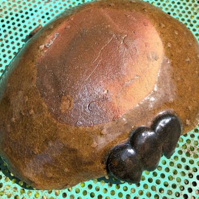 ふるさと納税 直方市 高取焼粘土(原土) |  | 02