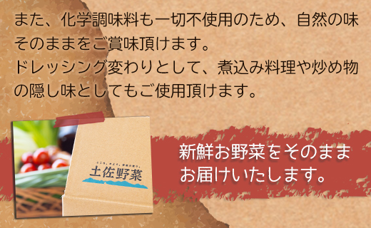 農薬不使用のお野菜8品とにんにく味噌のセット - やさい 詰め合わせ 詰合せ 旬の野菜 土佐野菜 10～13種類 季節品 お楽しみ おまかせ お任せ おまかせ ミソ みそ 調味料 特産品 国産 高知県