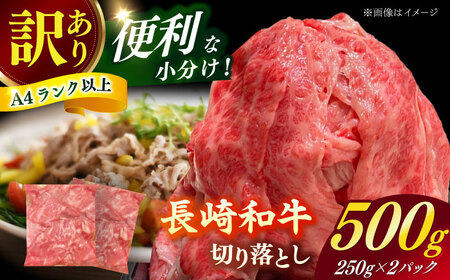 【訳あり】長崎和牛（バラ、モモ、肩ロースのいずれか）500g 切り落とし 250g×2P 小分け 【株式会社時愉亭】[RCE021]